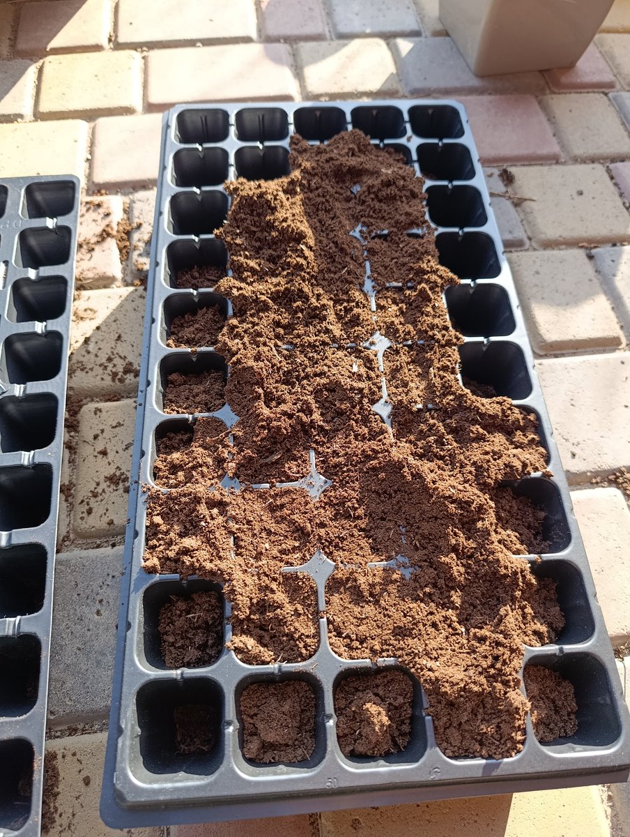 Maks Mykytyn tweet media