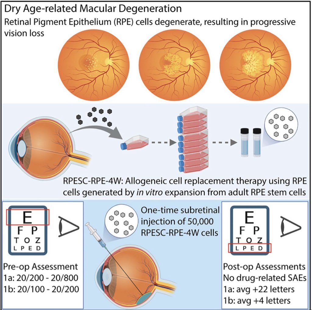 Rajesh Rao, MD tweet media