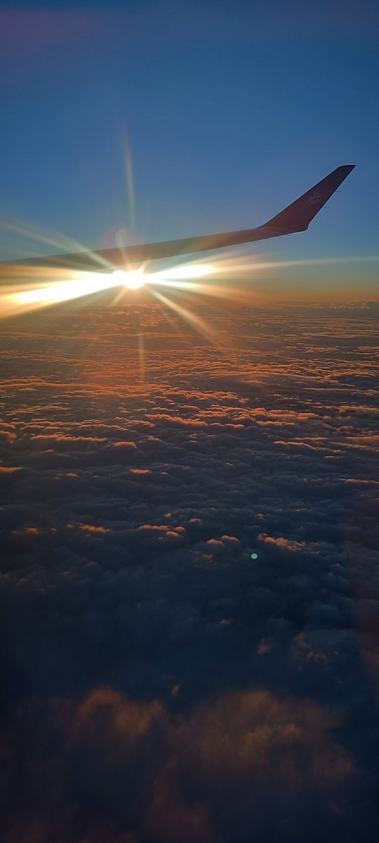 Fluffy Grape (Furo) 🍇 🔜 Fauntastic tweet media