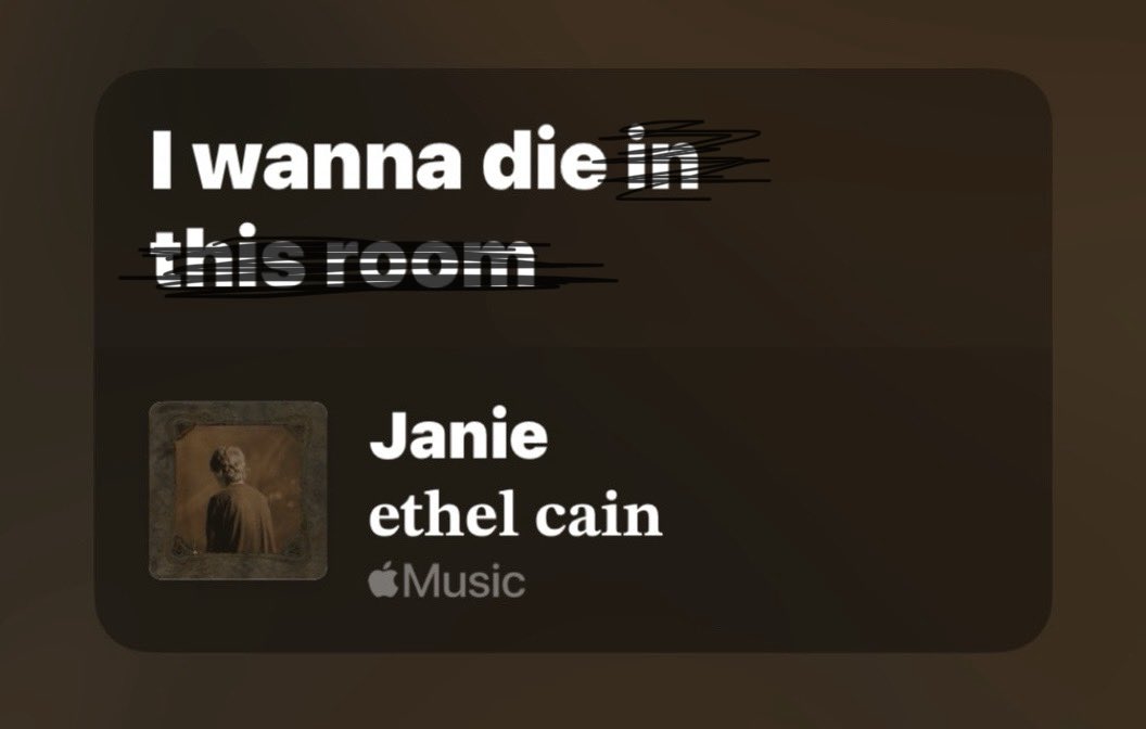 this might be the realist Ethel Cain lyric x