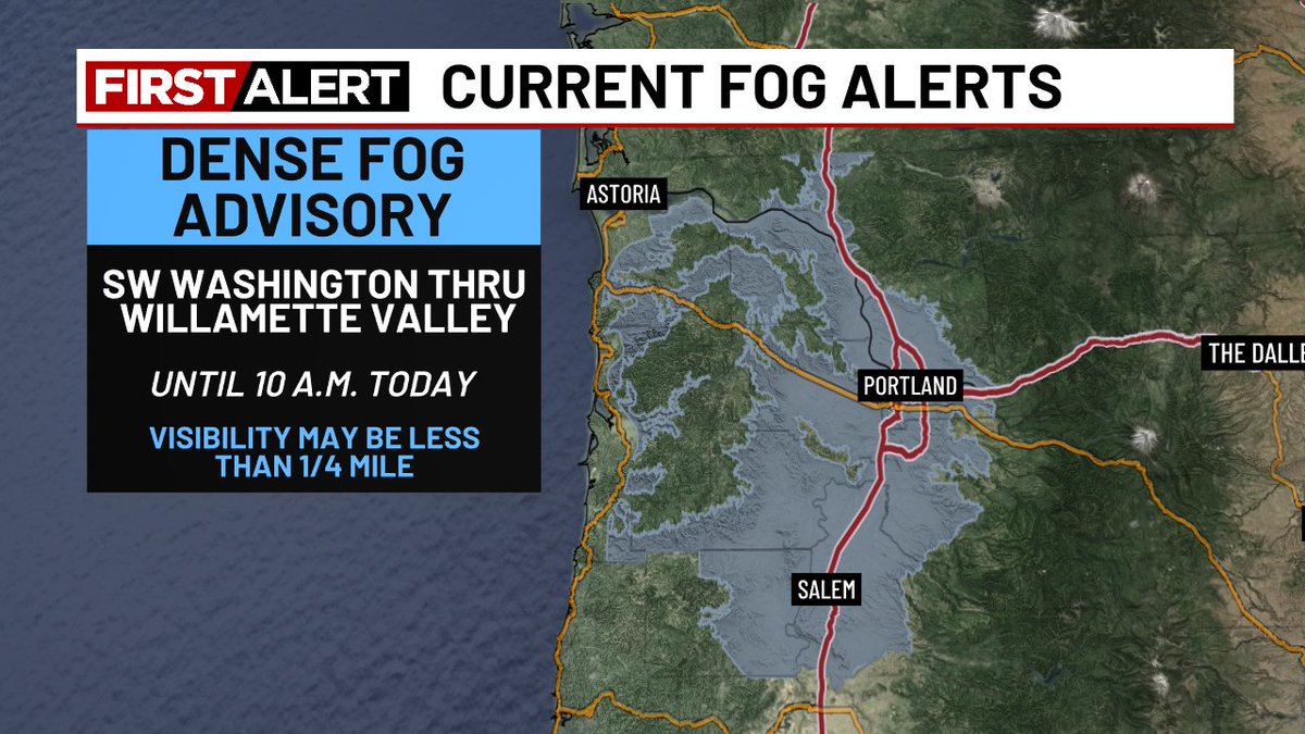 Katie Zúñiga tweet media