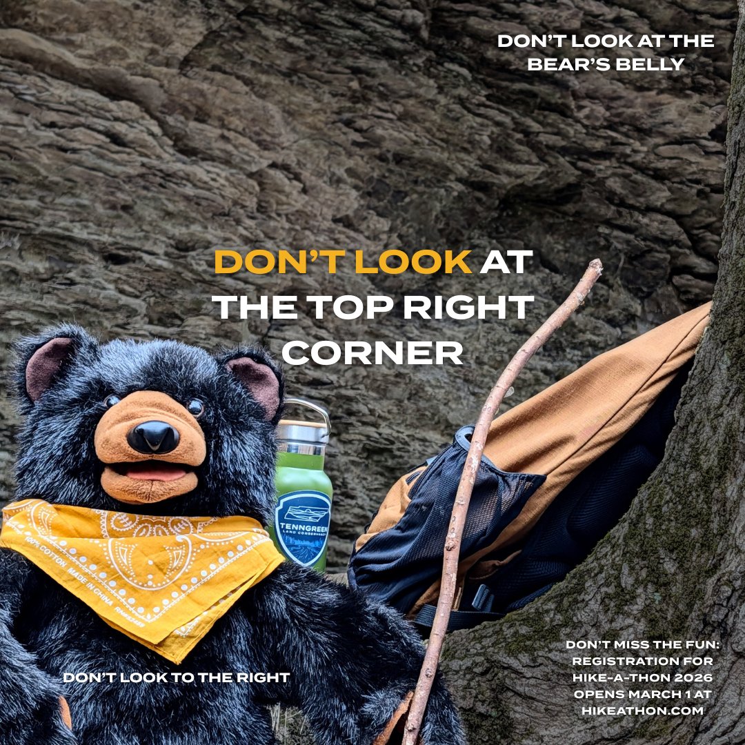 TennGreen Land Conservancy tweet media