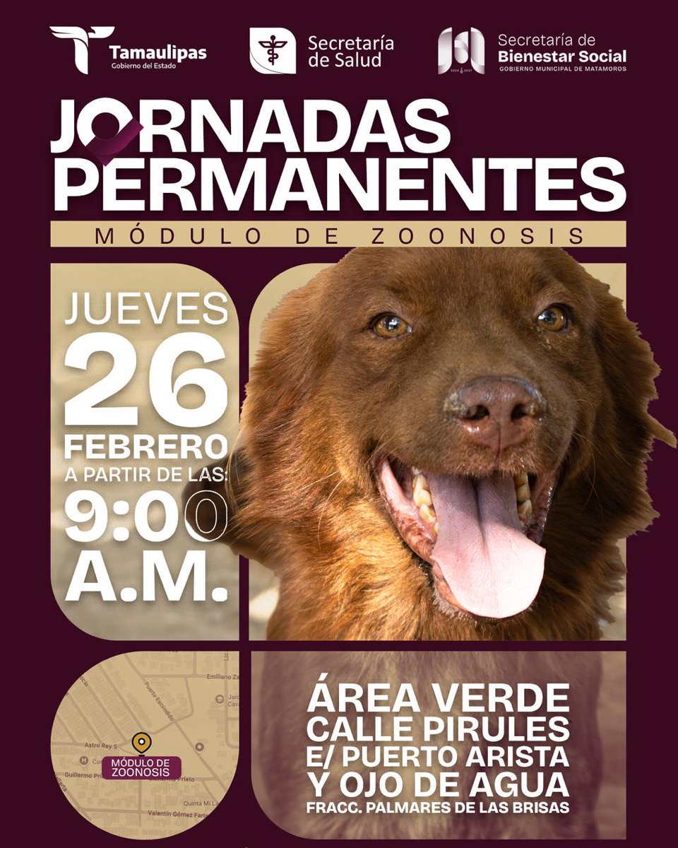 🐾  Este jueves la Jornada Permanente del Módulo de Zoonosis estará en el área verde del Fracc. Palmares de las Brisas (Calle Pirules e/ Puerto Artista y Ojo de Agua).

Acude con tus perritos y gatitos para recibir atención y orientación sobre su cuidado. 🐶🐱