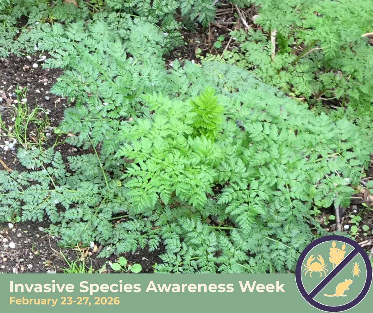 Whatcom County Public Works tweet media