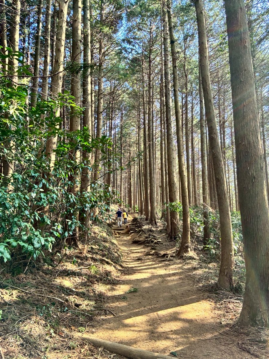 nobu_koguchi's tweet photo. 2/23（祝）は「完全オフ！」と宣言して高尾梅郷へ。

小川のせせらぎをBGMに、梅の香りに包まれて裏高尾の古い街道を散策。山裾で妻が「登るぞ！」と言い出して登山開始。

1時間ほどで小仏城山に到着。心地よい陽ざしと風を感じながら食べたおでんとなめこ汁は格別でした！  
五感で春を感じて、心身ともにリフレッシュしました！

#高尾梅郷 #小仏城山 #裏高尾