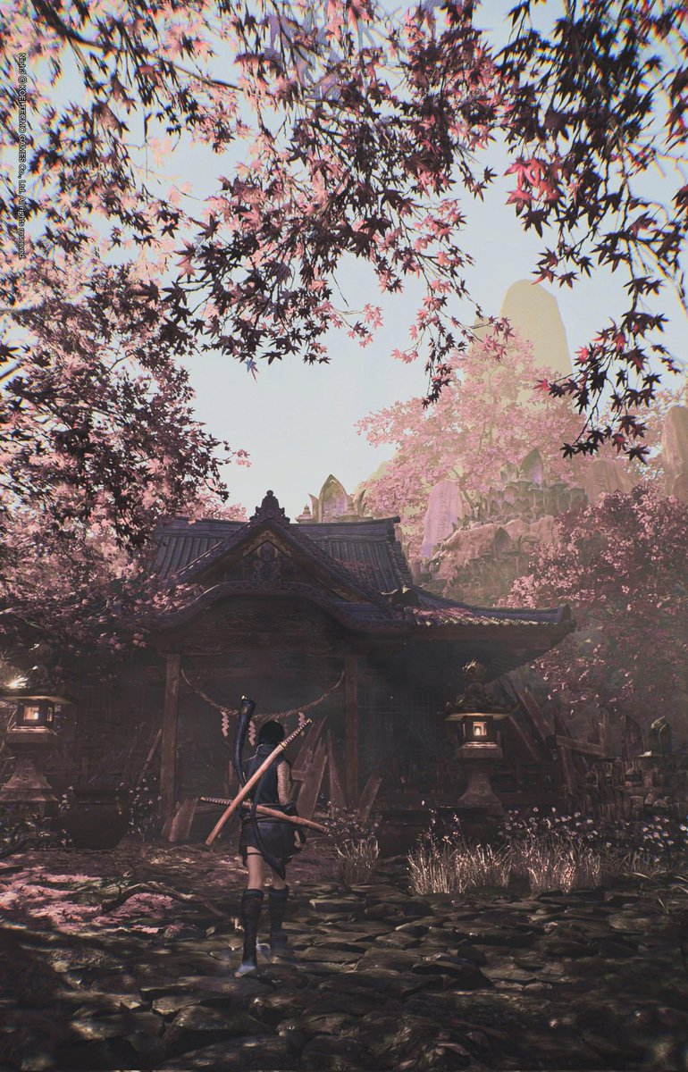 Virus6vp tweet media