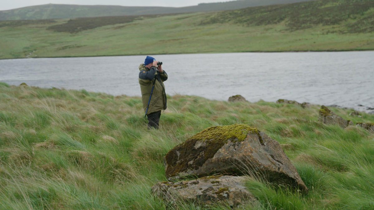 RTÉ Nationwide tweet media