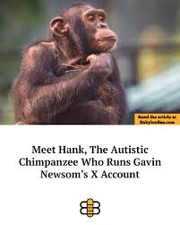 Temple of Baal tweet media