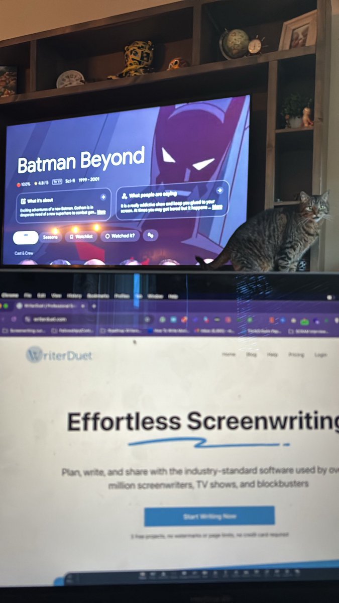 Matt Kenny tweet media