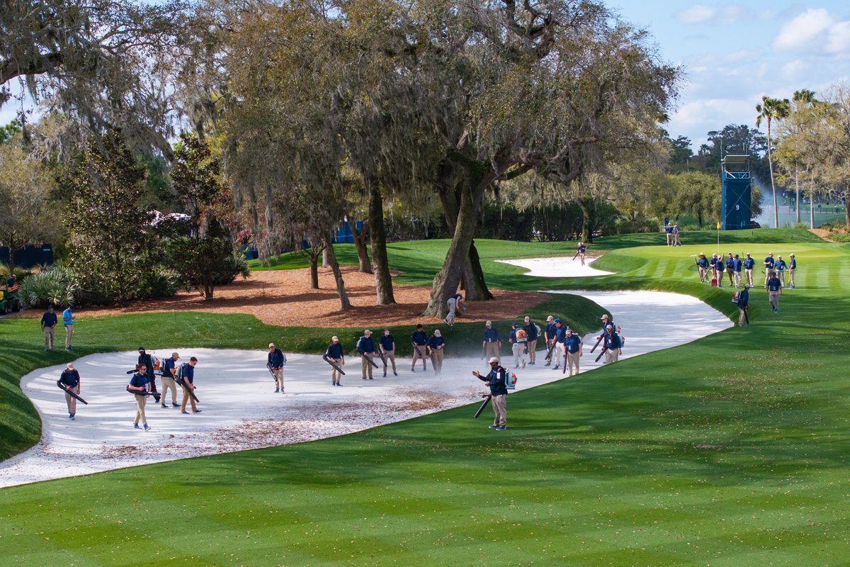 Beard Equipment Golf tweet media