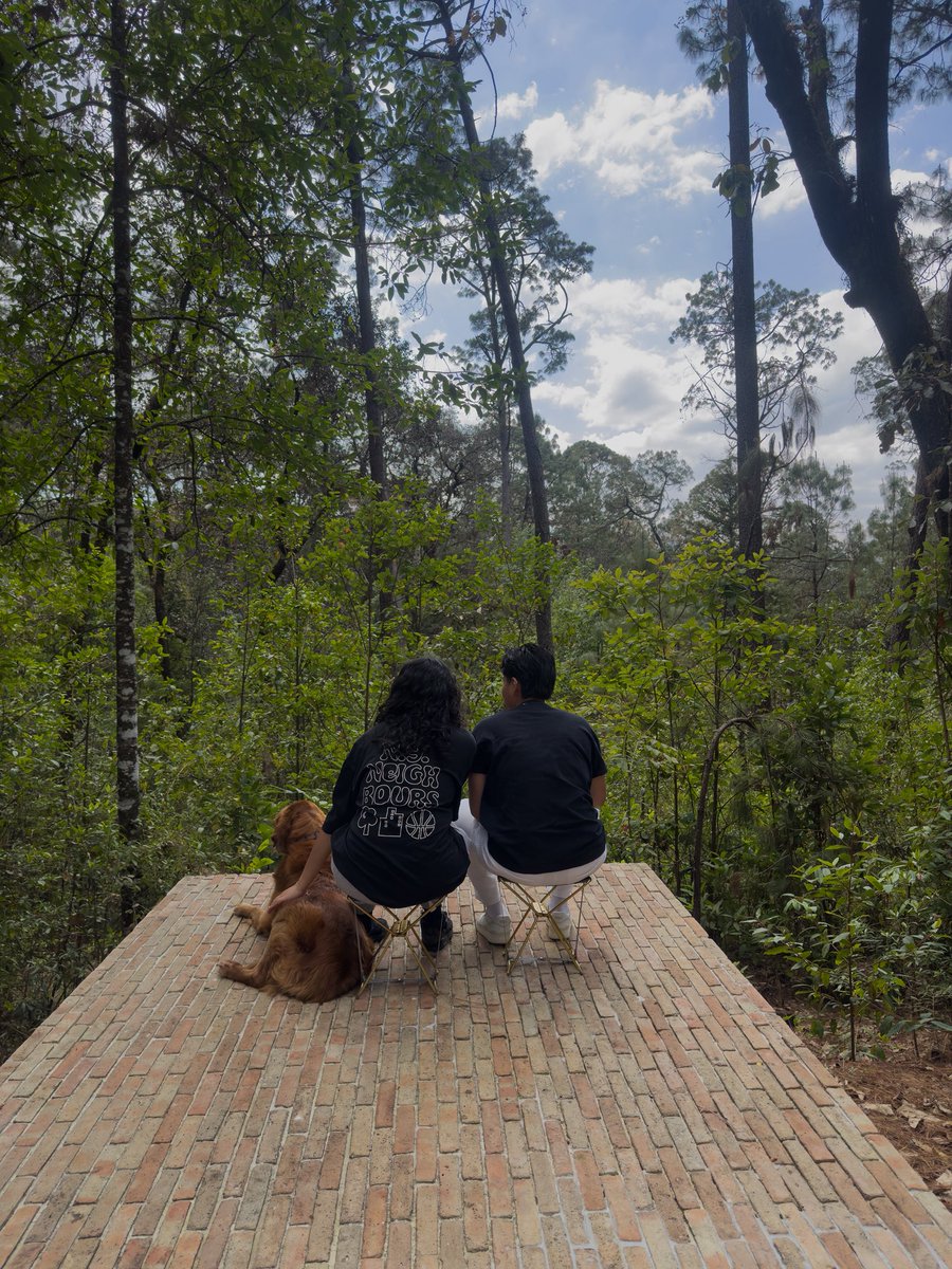 yo no soy tweet media