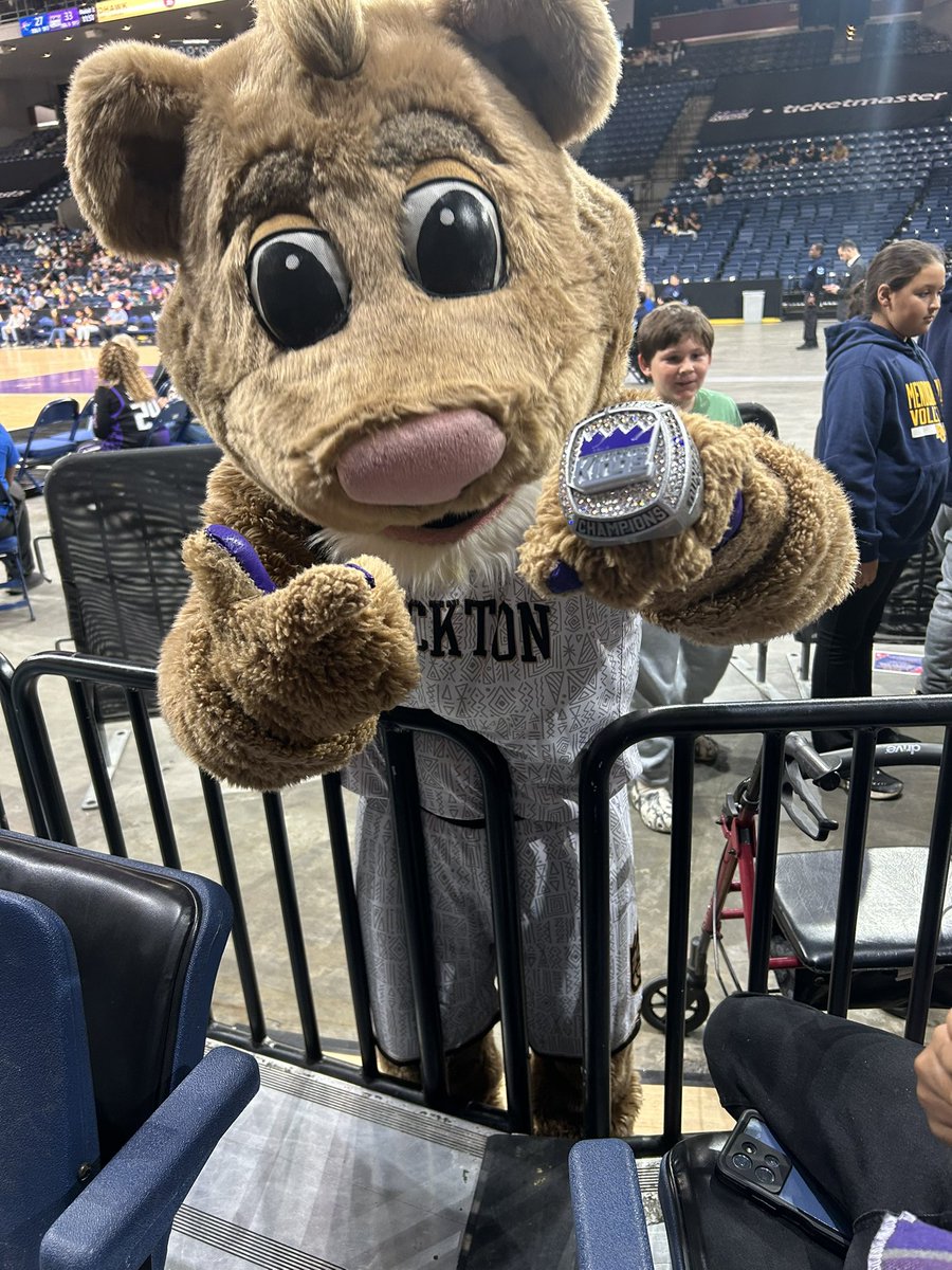 209Kings tweet media