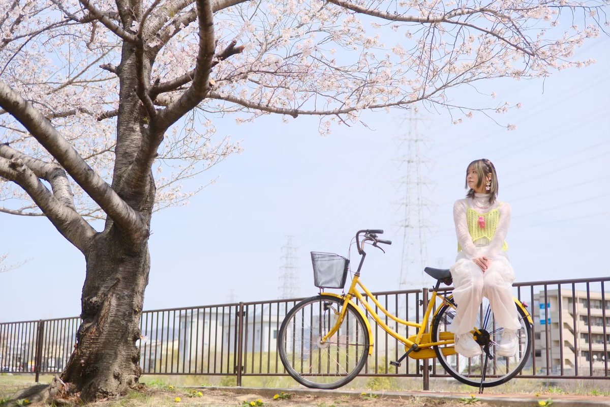 Miranda Otsuji🐈🚀目指せ花園ラグビー場 (@mirandaotsuji) / Posts / X