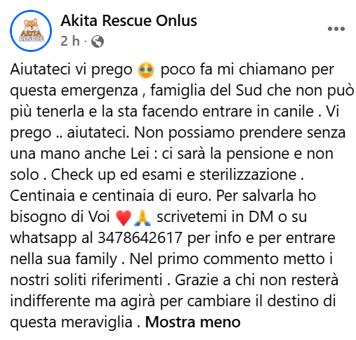 Marinelli Franco (@marinelli1957) on Twitter photo 