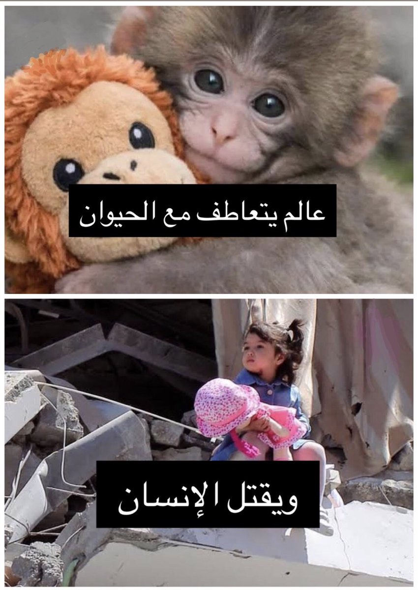 araz♡Արազ tweet media