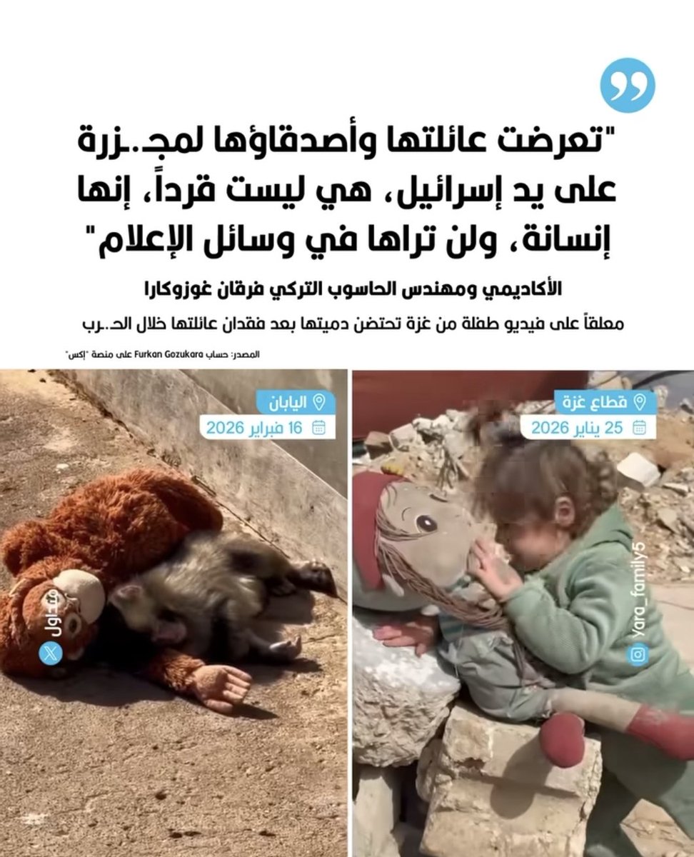 د. حسان شاولي tweet media