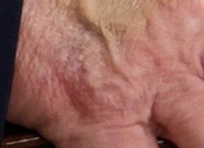 Jacquie_RN 🇨🇦🩺🌸🌷 tweet media