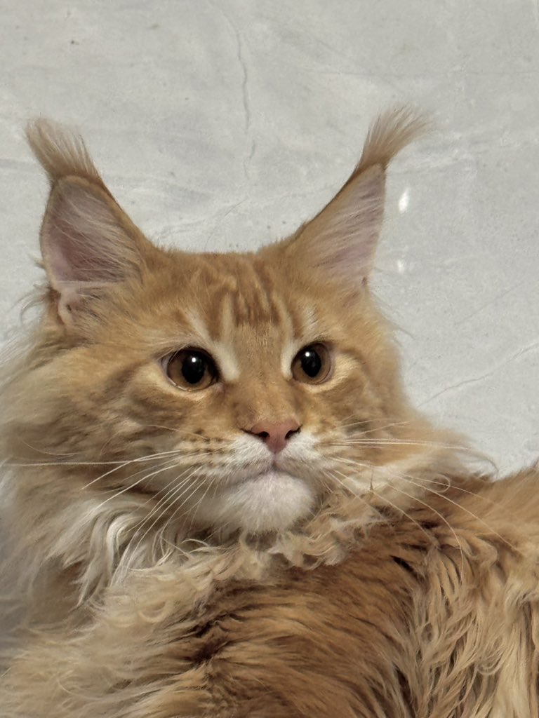 57Friend tweet media