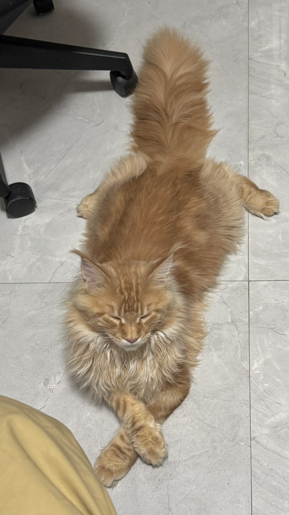 57Friend tweet media