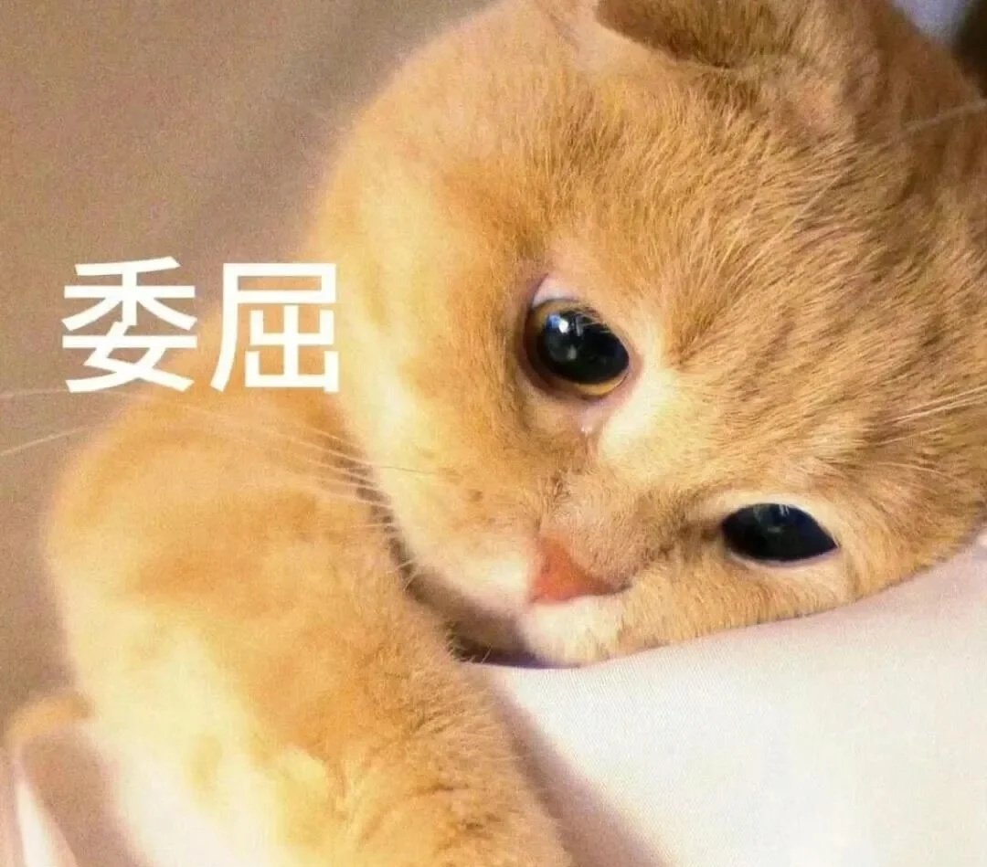 小久不哭 tweet media