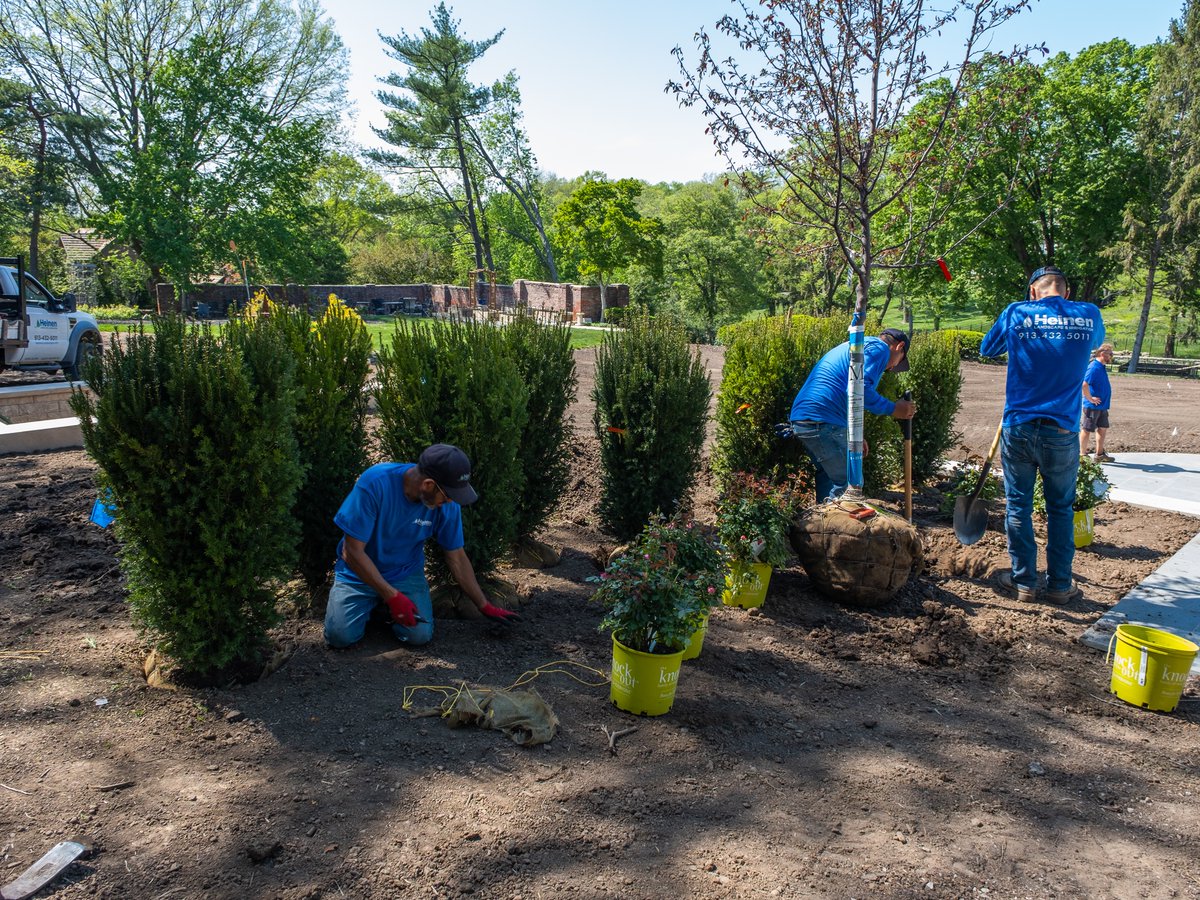 Heinen Landscape KC tweet media