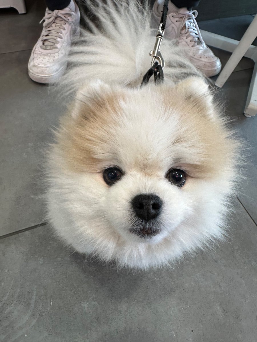 JUANITA