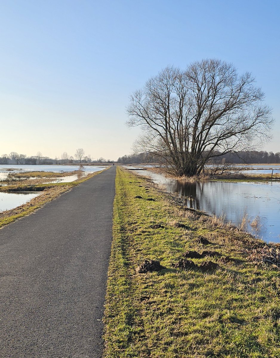 Kein Schnee. Nirgends. #Wümmewiesen