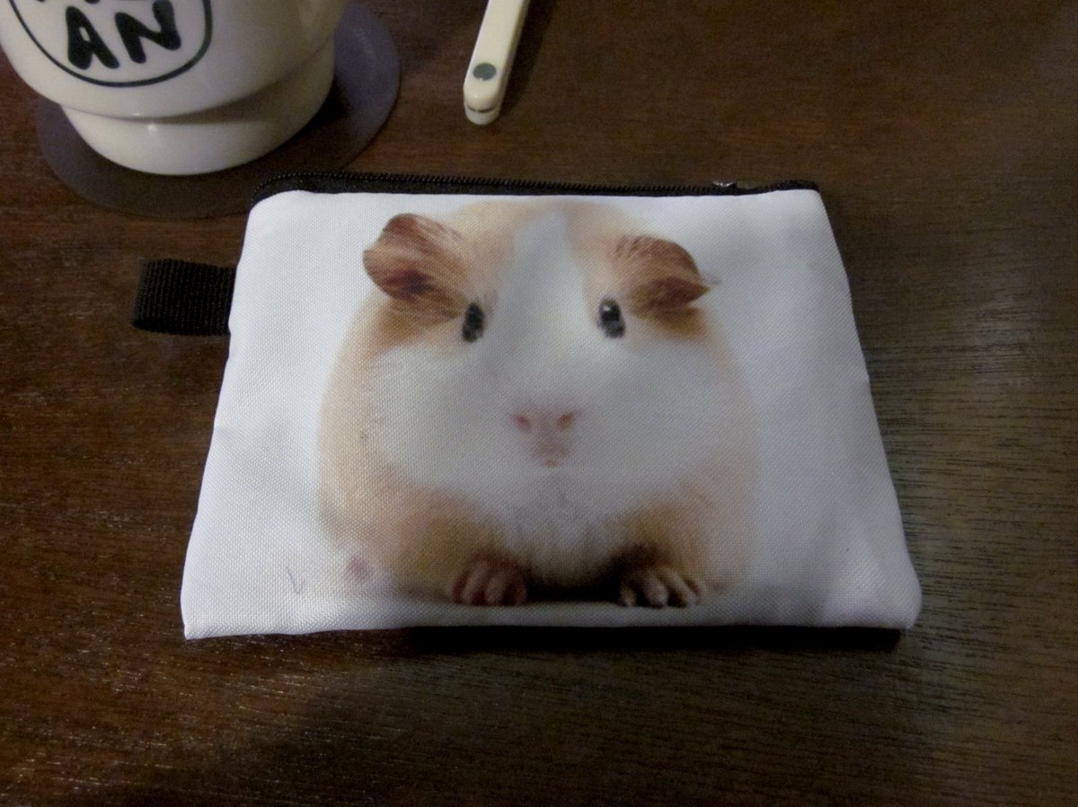 디카파우치 꾸이꾸이로 하나 장만함