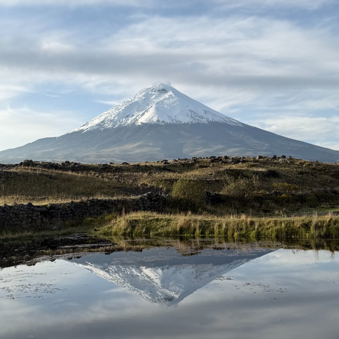 Notre Dame Alumni tweet media