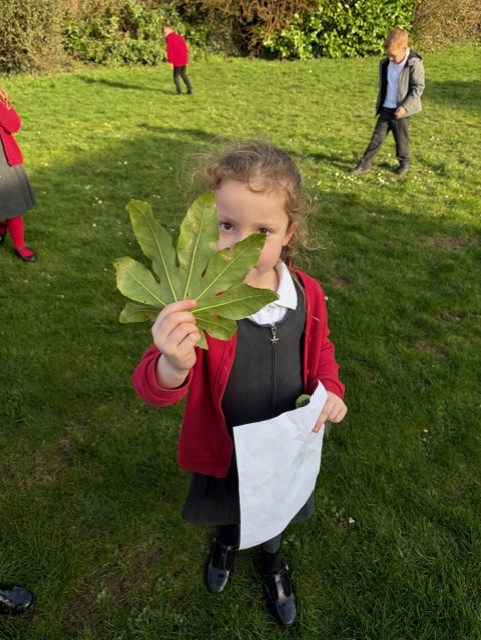 Inmans Primary sch tweet media