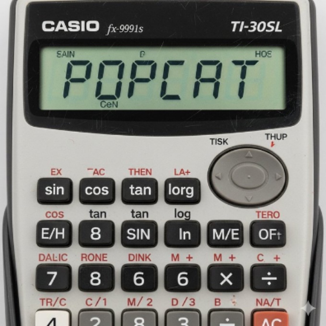 Popcat Fan Page (@popcatfdn) on Twitter photo 