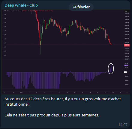 Deep Whale tweet media