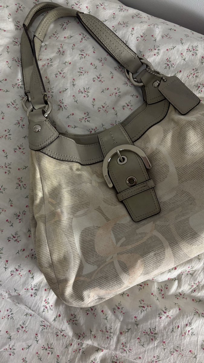 love, shafa. tweet media