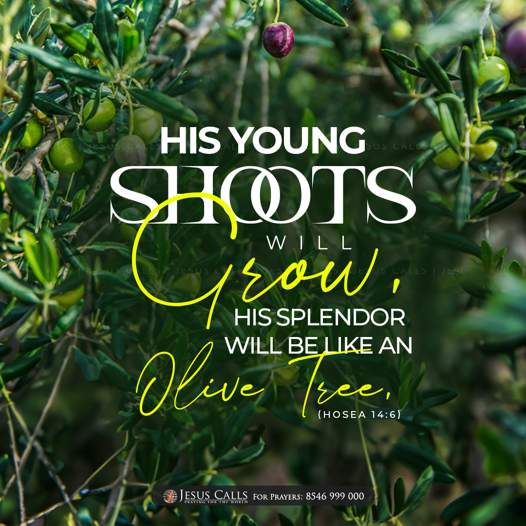 Jesus Calls tweet media