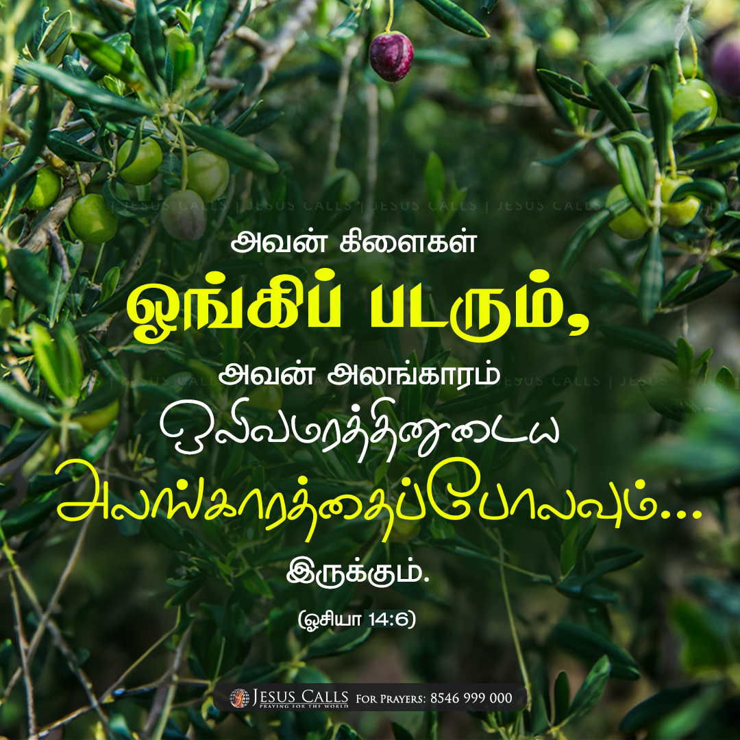 Jesus Calls tweet media