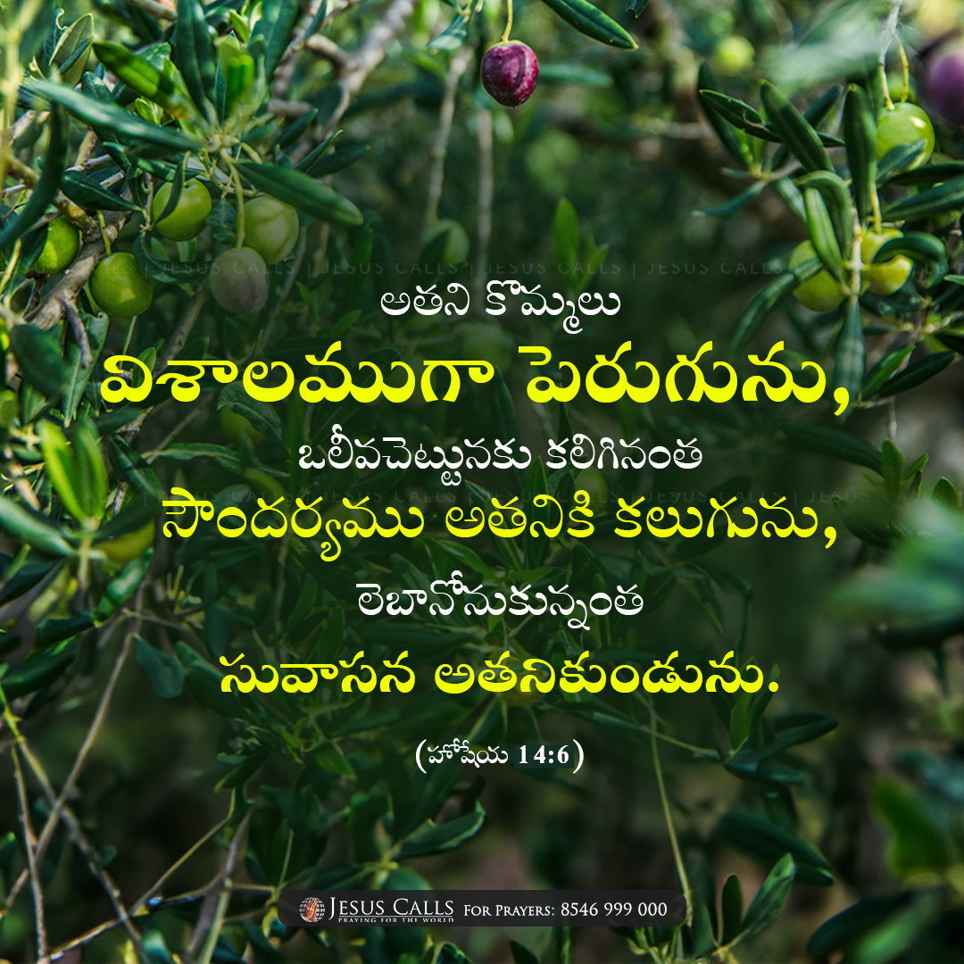 Jesus Calls tweet media