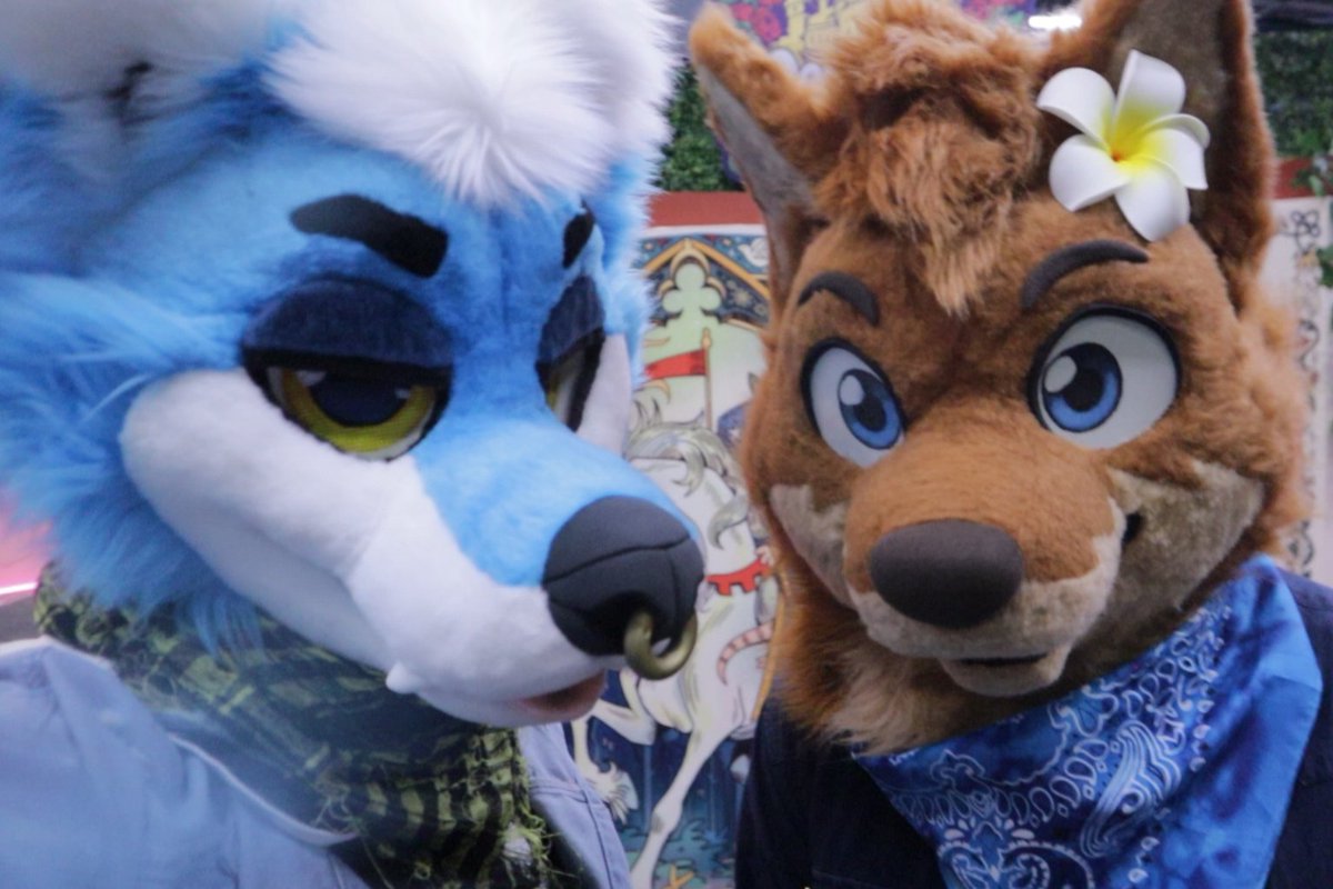 Yo Soy Wolfhug ๐ tweet media