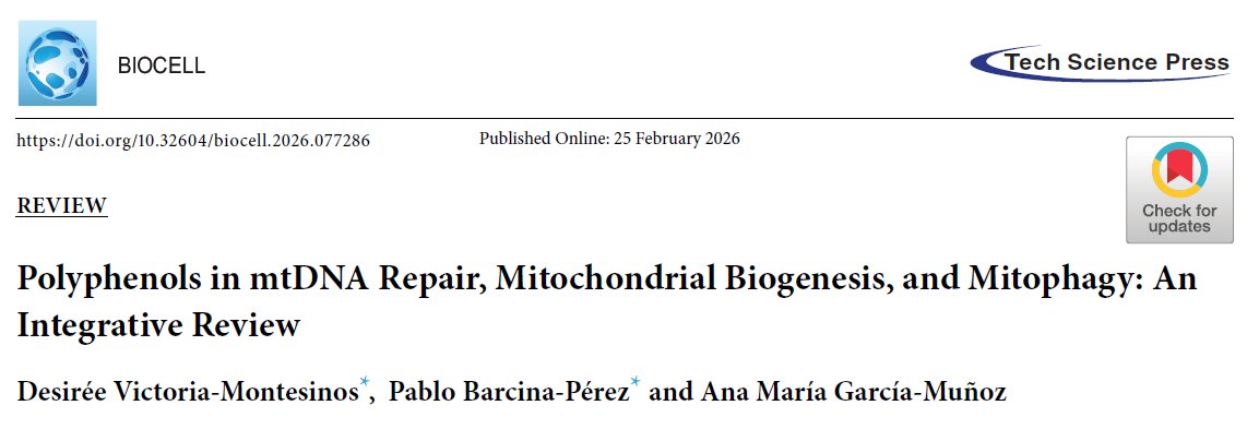 📢 New publication!
We review how dietary polyphenols modulate mtDNA repair, mitochondrial biogenesis &amp; mitophagy, linking nutrition to mitochondrial quality control. #Mitochondria #Polyphenols #NutritionScience #MetabolicHealth
🔗 doi.org/10.32604/bioce… <a href="/UCAM_Investiga/">Vicerrectorado de Investigación UCAM</a>
