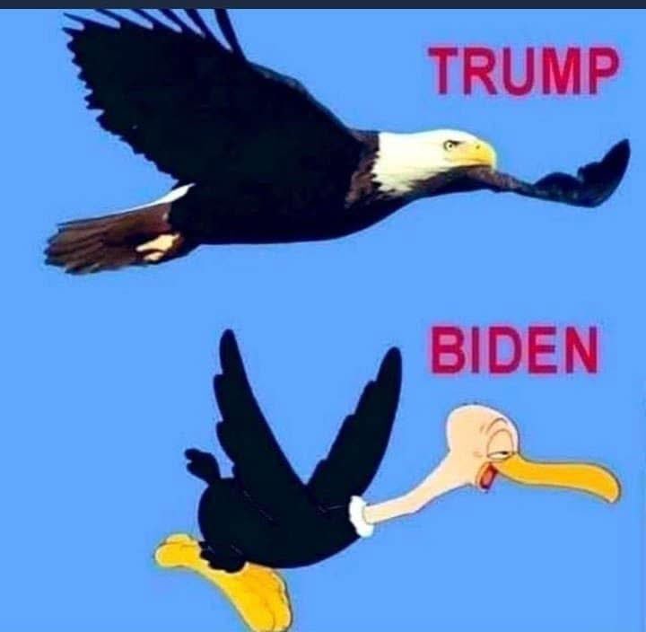 Bud Allen (@budallen3) on Twitter photo 