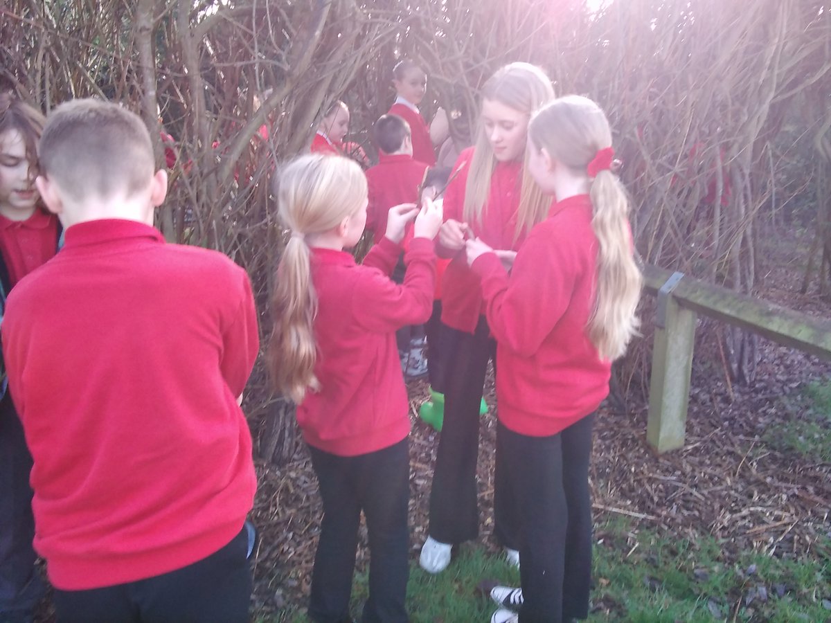 Inmans Primary sch tweet media