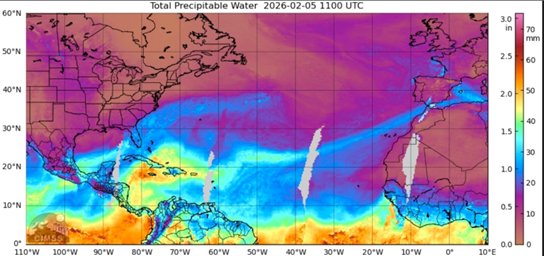 AME Asociación tweet media