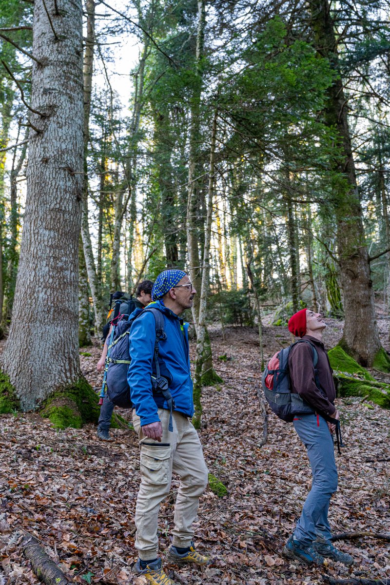 Escursione Riserva Abetina di Rosello cima la Rocca e monte Castellano #abruzzo #rosello #natura #italy #trekking