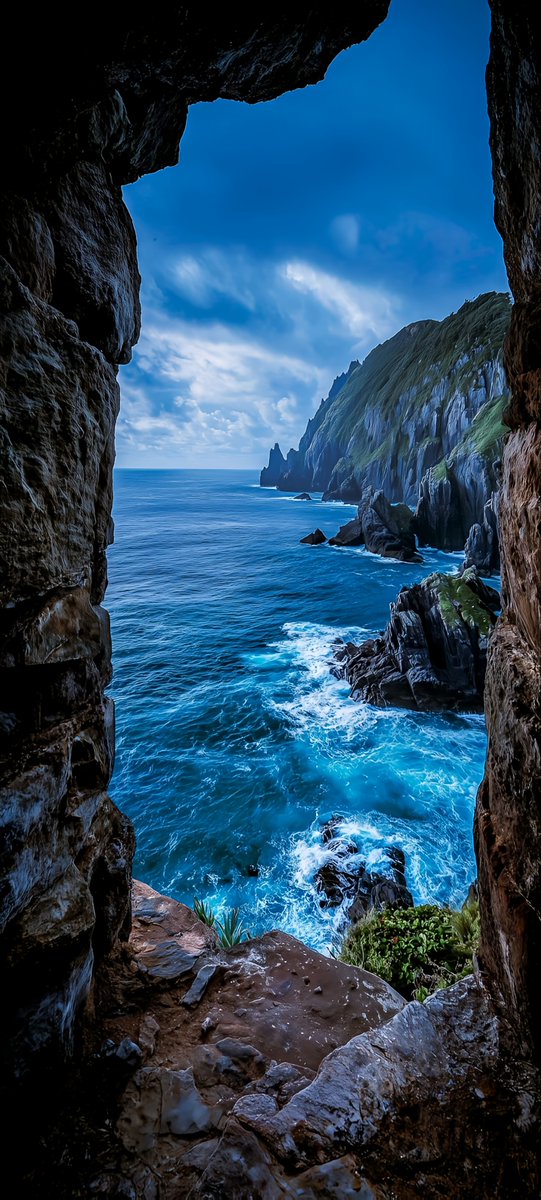 lynxchizzy's tweet image. #NatureBeauty #aesthetics #NaturePhotography