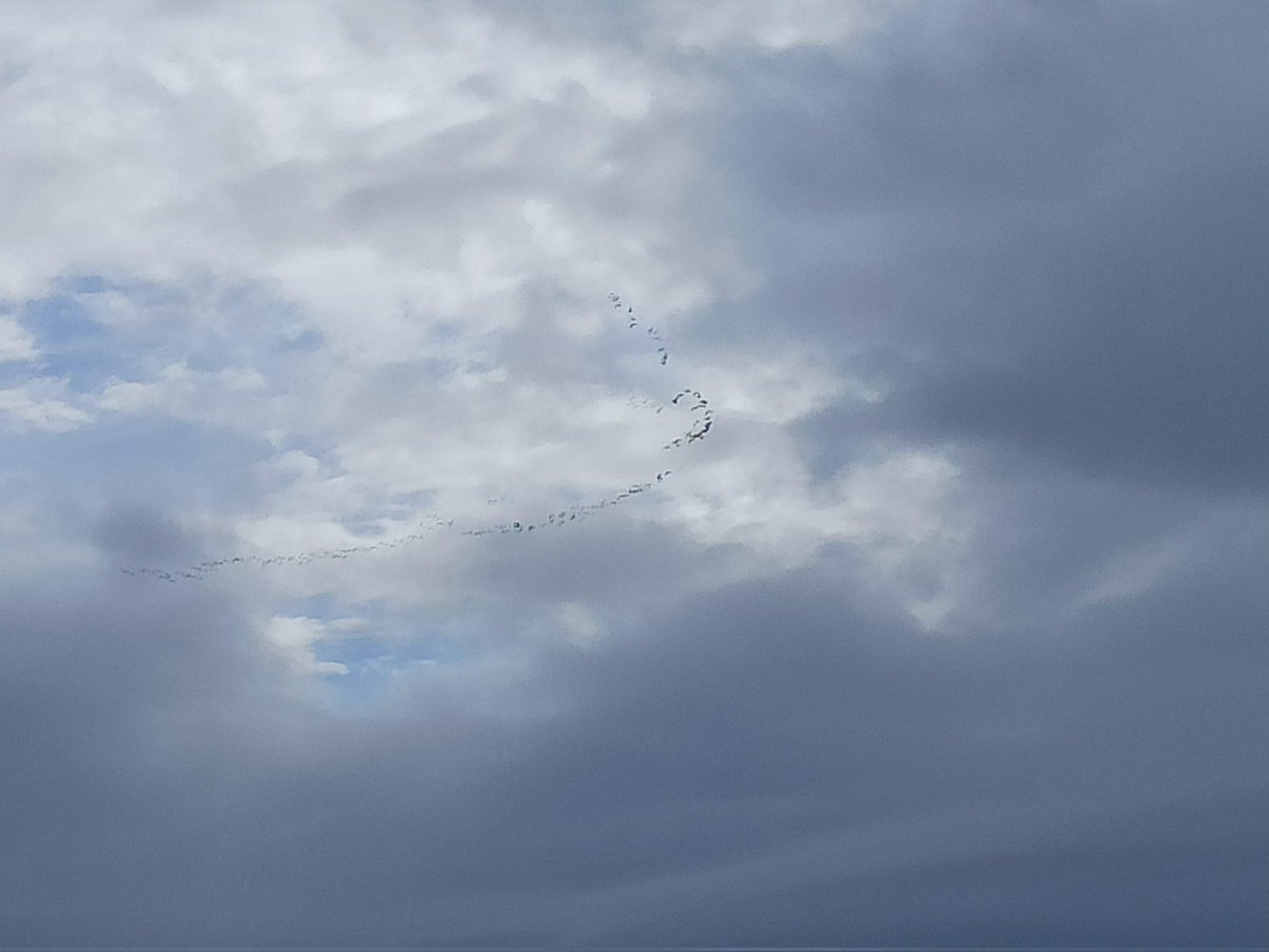 Tim Quantrill tweet media