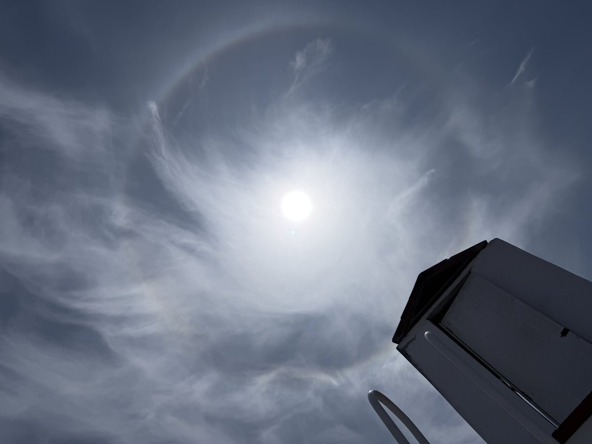 Muñoz Gian tweet media