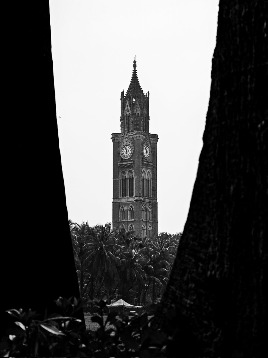 BachuuM22 tweet media