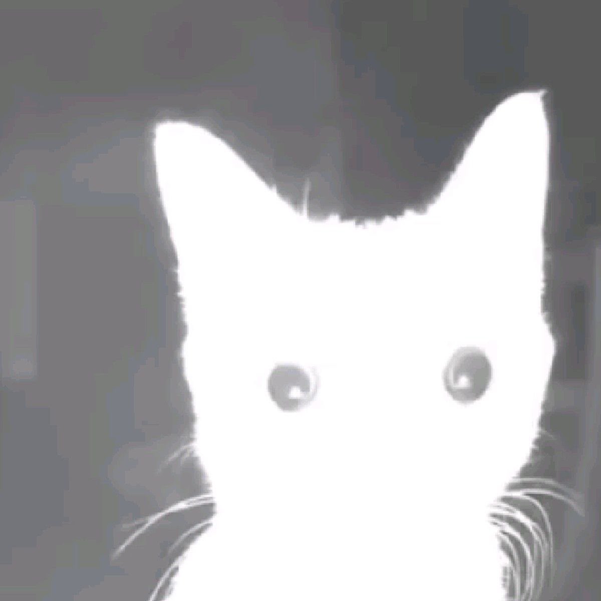 looking up the symptoms of health ocd and the symptoms are obsessively looking up symptoms