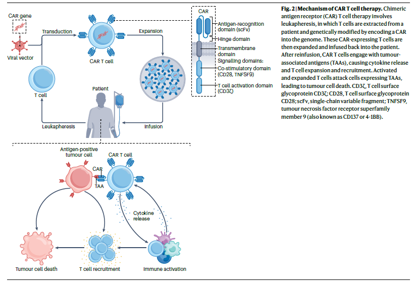 Eric H Yang, MD tweet media