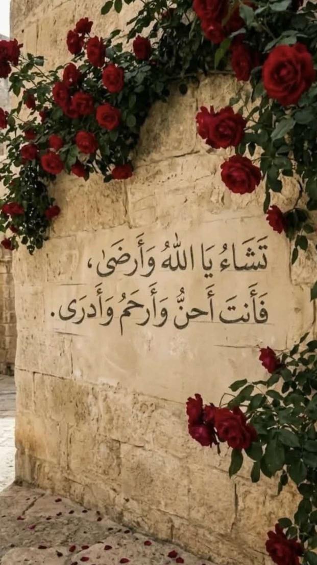 msny_al's tweet photo. https://t.co/kD2clbiwoP