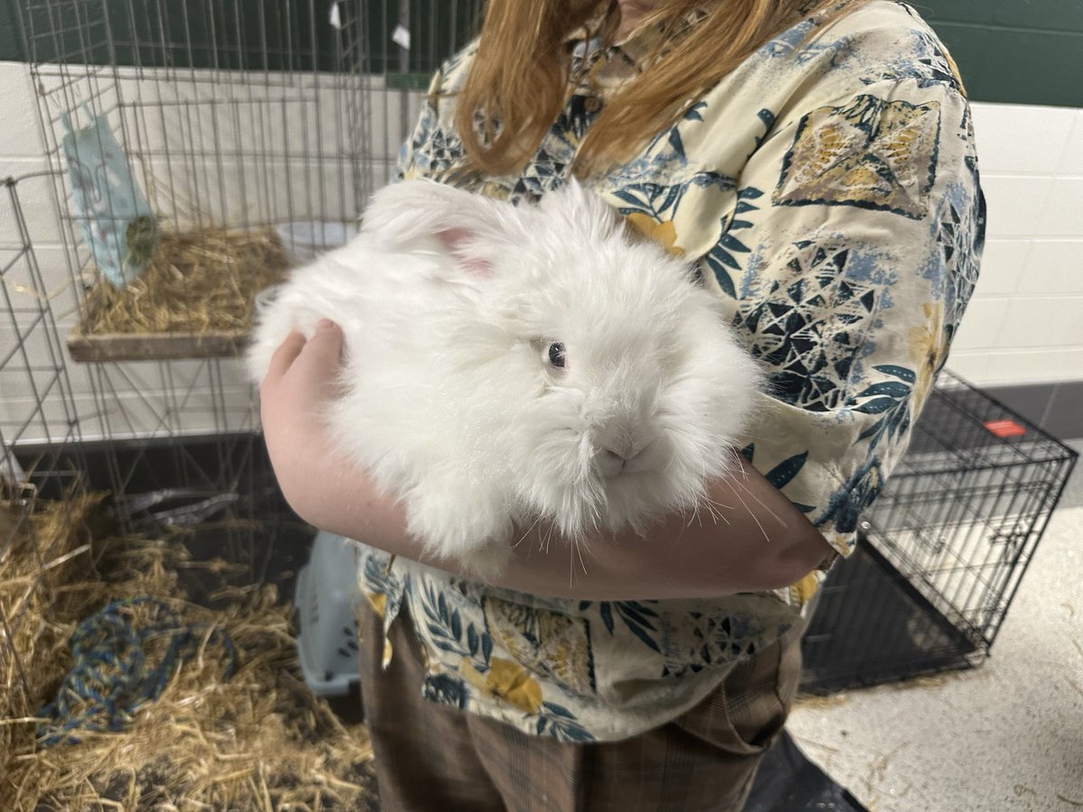 Adam Hatcher tweet media